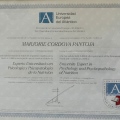 Ampliar imagen: certificate 3