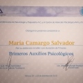 Ampliar imagen: certificate 10