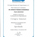 Ampliar imagen: certificate 5
