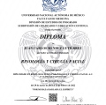 Ampliar imagen: certificate 4