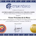 Ampliar imagen: certificate 2