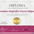 Ampliar imagen: certificate 13