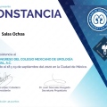Ampliar imagen: certificate 3
