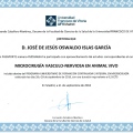 Ampliar imagen: certificate 8