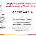 Ampliar imagen: certificate 6