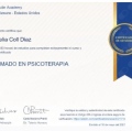 Ampliar imagen: certificate 10