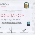 Ampliar imagen: certificate 9
