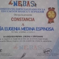 Ampliar imagen: certificate 17