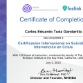Ampliar imagen: certificate 2