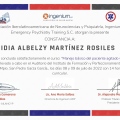 Ampliar imagen: certificate 8