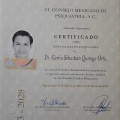 Ampliar imagen: certificate 2