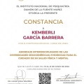Ampliar imagen: certificate 7