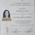 Ampliar imagen: certificate 3