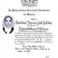 Ampliar imagen: certificate 1