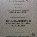 Ampliar imagen: certificate 1
