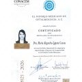 Ampliar imagen: certificate 3