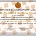 Ampliar imagen: certificate 20