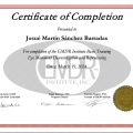 Ampliar imagen: certificate 1