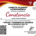 Ampliar imagen: certificate 37