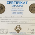 Ampliar imagen: certificate 12