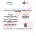 Ampliar imagen: certificate 3