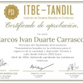 Ampliar imagen: certificate 3