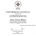 Ampliar imagen: certificate 3