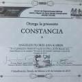 Ampliar imagen: certificate 4