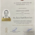 Ampliar imagen: certificate 4