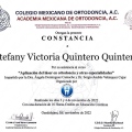 Ampliar imagen: certificate 3