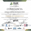Ampliar imagen: certificate 3