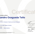 Ampliar imagen: certificate 4