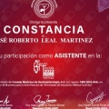 Ampliar imagen: certificate 5