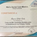 Ampliar imagen: certificate 3