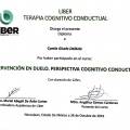 Ampliar imagen: certificate 13