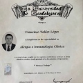 Ampliar imagen: certificate 5