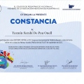 Ampliar imagen: certificate 4