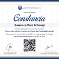 Ampliar imagen: certificate 8
