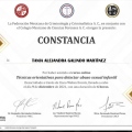 Ampliar imagen: certificate 8