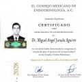 Ampliar imagen: certificate 1