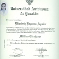 Ampliar imagen: certificate 4