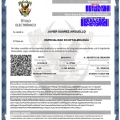 Ampliar imagen: certificate 1