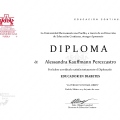 Ampliar imagen: certificate 3