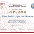 Ampliar imagen: certificate 3