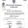 Ampliar imagen: certificate 3