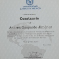 Ampliar imagen: certificate 5