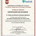 Ampliar imagen: certificate 2