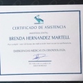 Ampliar imagen: certificate 8