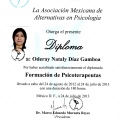Ampliar imagen: certificate 2