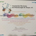 Ampliar imagen: certificate 4